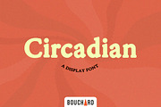 Circadian, a Serif Font by Bouchard Designs (Thumbnail 1 of 9)