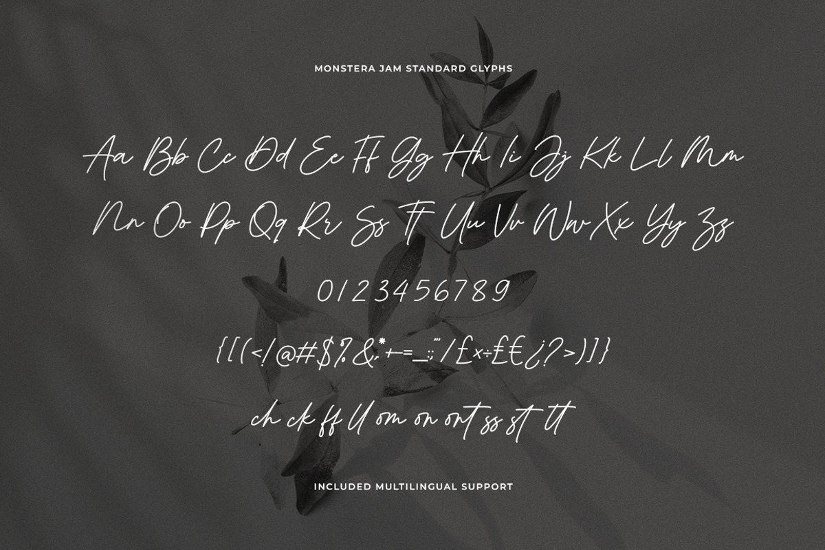 Monstera Jam Modern Signature Font, a Handwritten Font by Heinzel Std (Photo 16 of 19)