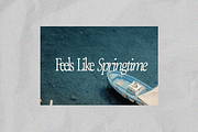 The Old Bros Oskon 90s Vintage Serif, a Serif Font by zelow type (Thumbnail 2 of 11)