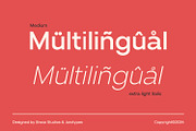 Venzia Sans Family Fonts, a Sans Serif Font by Siwox Studios (Thumbnail 10 of 10)