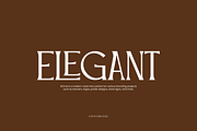 Qeogoos - Modern Logo Font, a Serif Font by Iqsiart Studio (Thumbnail 2 of 8)