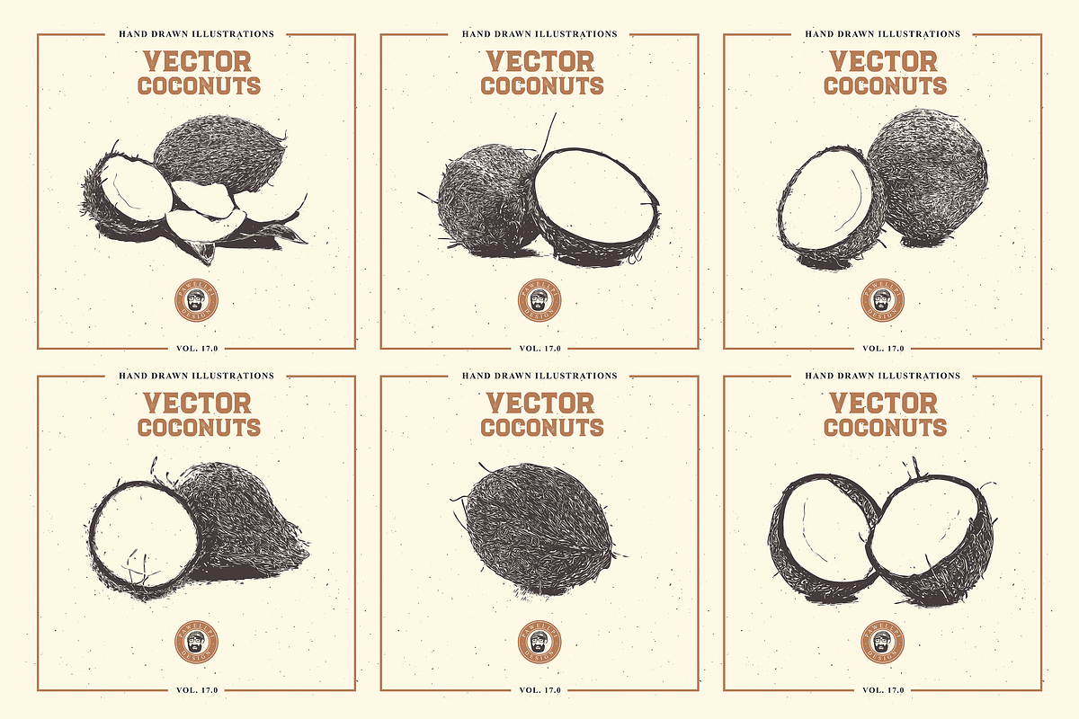 VECTOR COCONUTS HAND DRAWN BUNDLE, a Food Illustration by pawellpi (Photo 5 of 6)