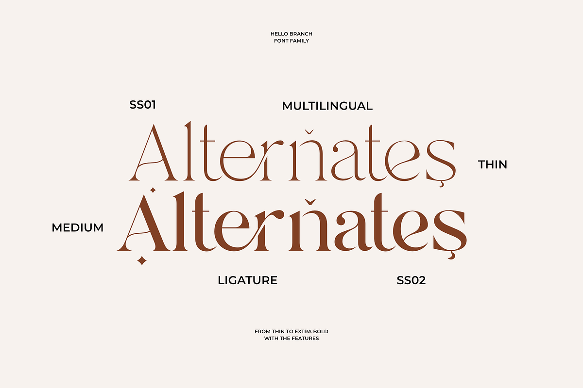 Hello Branch 8 Font Family, a Serif Font by Sans & Sons (Photo 4 of 12)