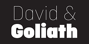 Ciutadella Display, a Sans Serif Font by Emtype Foundry (Thumbnail 7 of 11)