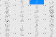 Procreate flower stamp, a Brush Add-On by AnnaPolitmerskaja (Thumbnail 2 of 4)