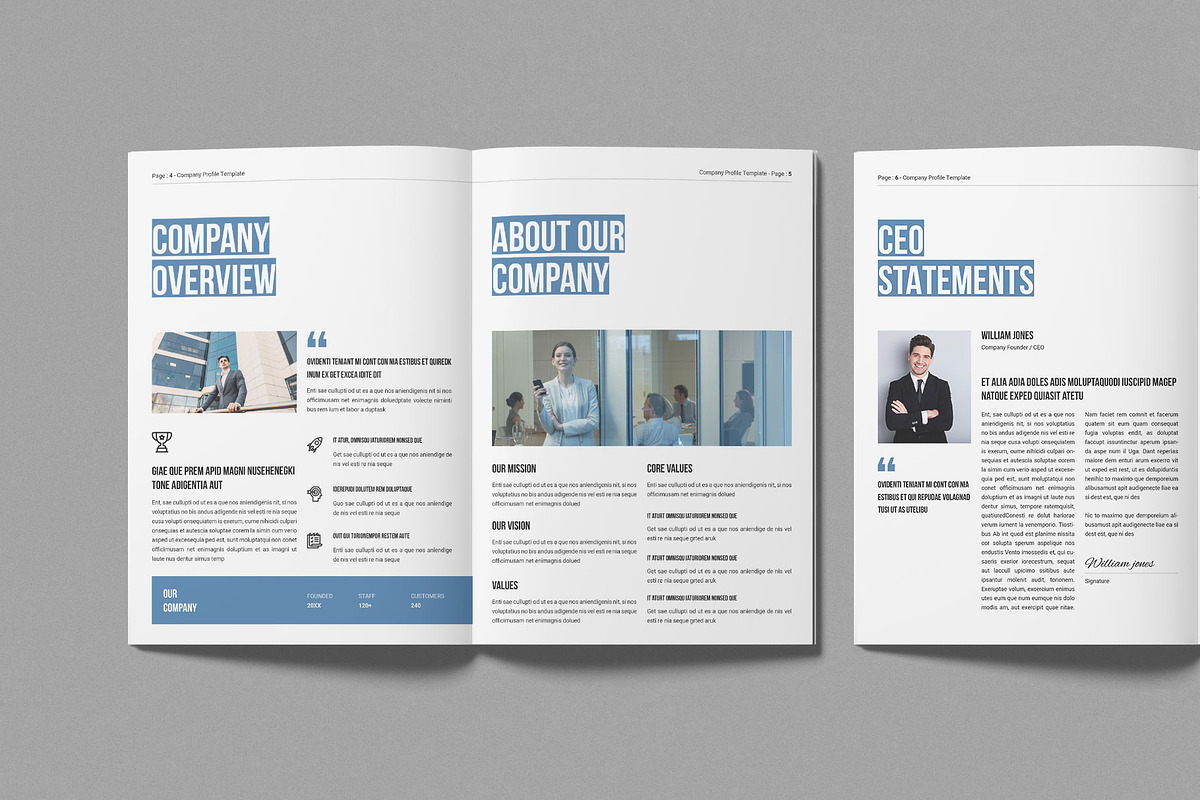 Company Profile Template, a Brochure Template by Work-Envance (Photo 3 of 7)