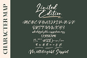 Limited Edition Signature Script LS, a Script Font by GranzCreative (Thumbnail 6 of 15)