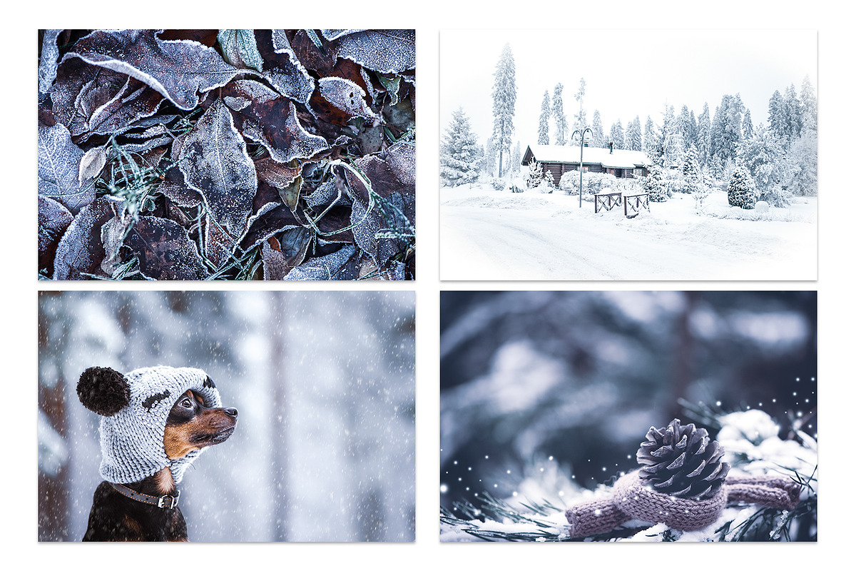 Winter Bundle - 24 jpg, a Background Photo by WildStrawberry Magic (Photo 2 of 8)