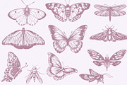 Vintage Bundle- 250 vector elements, an Object Graphic by TatianaCociorva (Thumbnail 4 of 19)