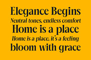 Mailyo Modern Serif Display Font, a Serif Font by timelesstype.co (Thumbnail 4 of 20)