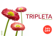Tripleta Grotesk -8 fonts-, a Sans Serif Font by deFharo (Thumbnail 4 of 9)