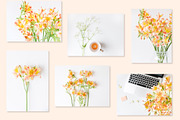 Spring flowers photo bundle featuring minimal, white, and orange, a Business Photo by Visual Bloom (Thumbnail 2 of 3)