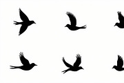 Flying Bird Silhouette Bundle, an Illustration by Creativeshirt (Thumbnail 2 of 10)