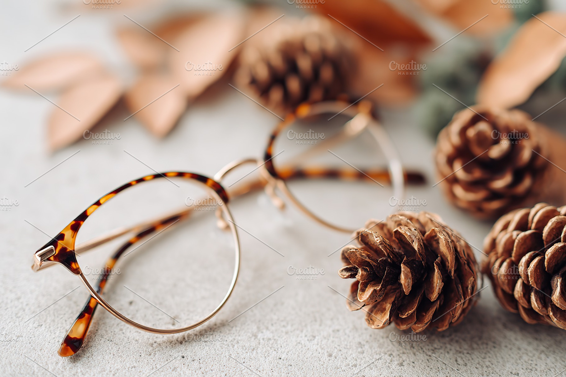 Glasses resting on a neutral shelf surrounded by pinecones and dried leaves, an Abstract Photo by AlyaAnd