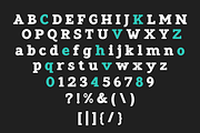 Pristine Pro - Elegant Slab Family, a Slab Serif Font by Azcreative Studio (Thumbnail 14 of 16)