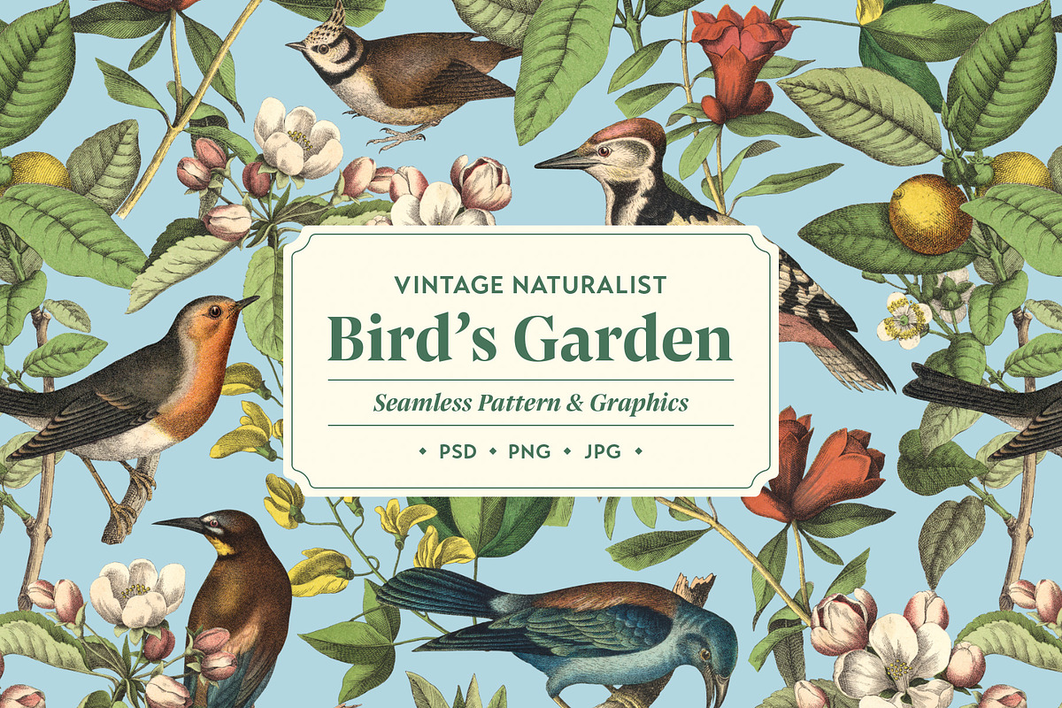 Bird's Garden - Vintage Pattern, a Pattern Graphic by Graphic Goods (Photo 1 of 9)