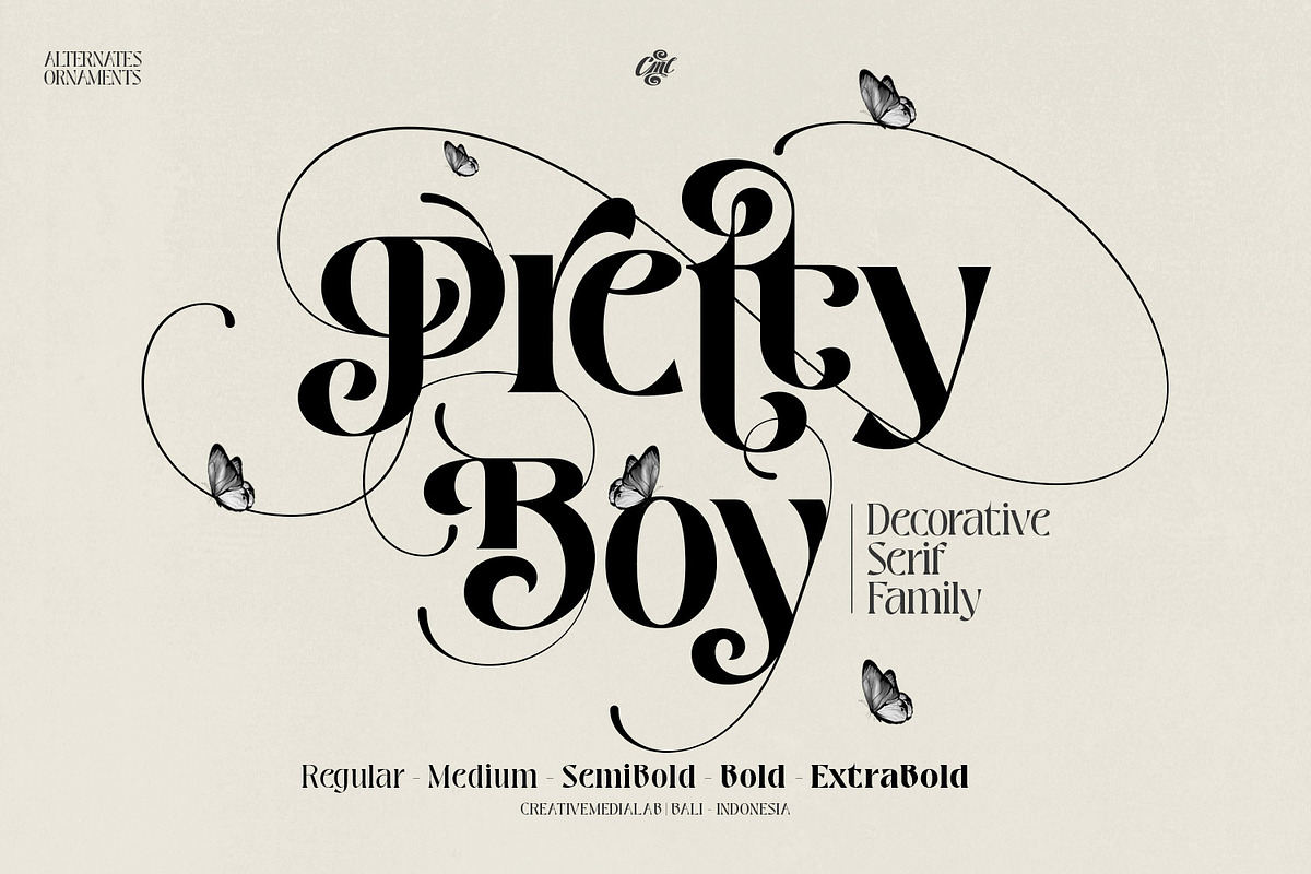 Pretty Boy - Decorative Serif family, a Serif Font by creativemedialab (Photo 1 of 21)