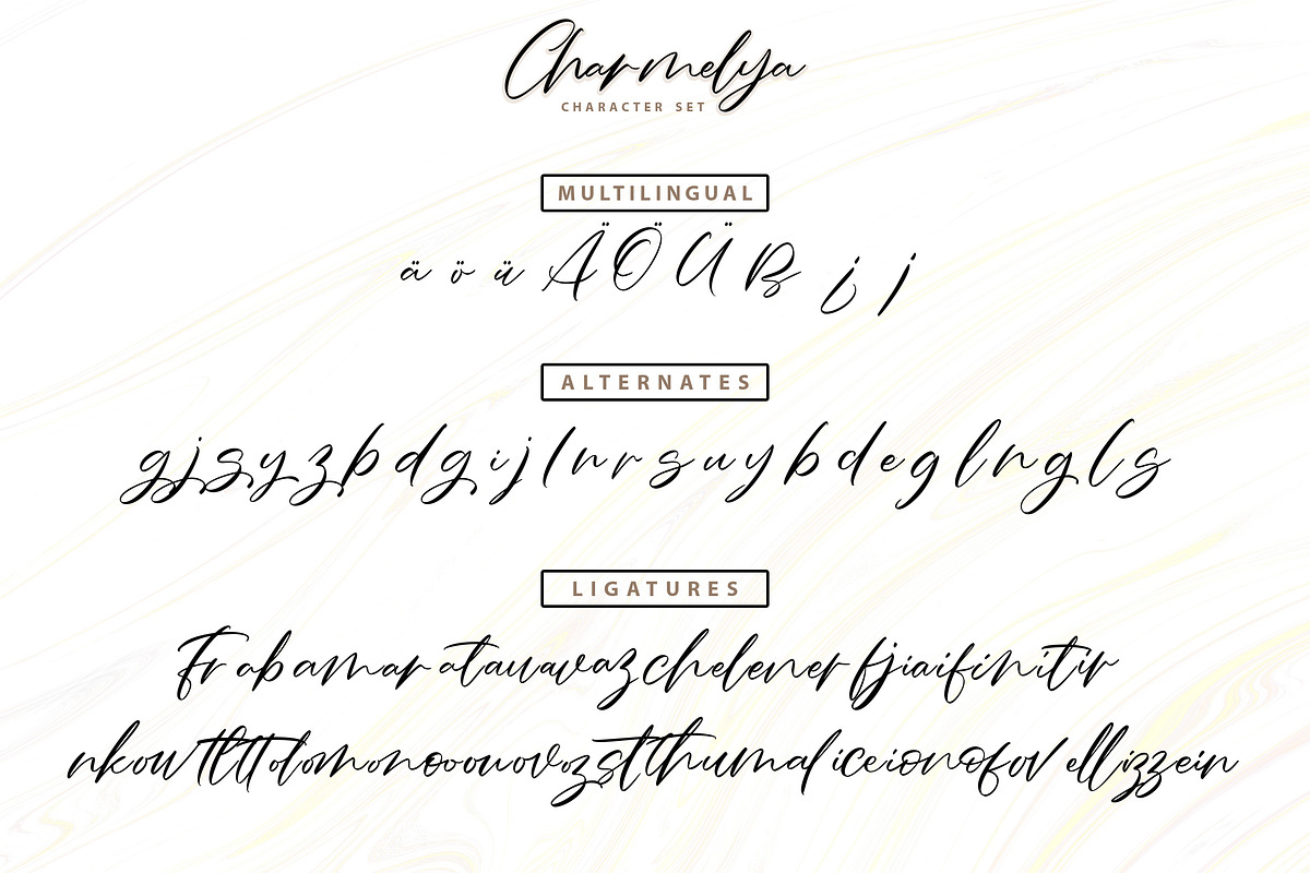 Charmelya – Handwriting script font, a Script Font by Typefactoryco (Photo 6 of 7)