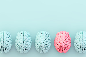 minimal blue brain collection