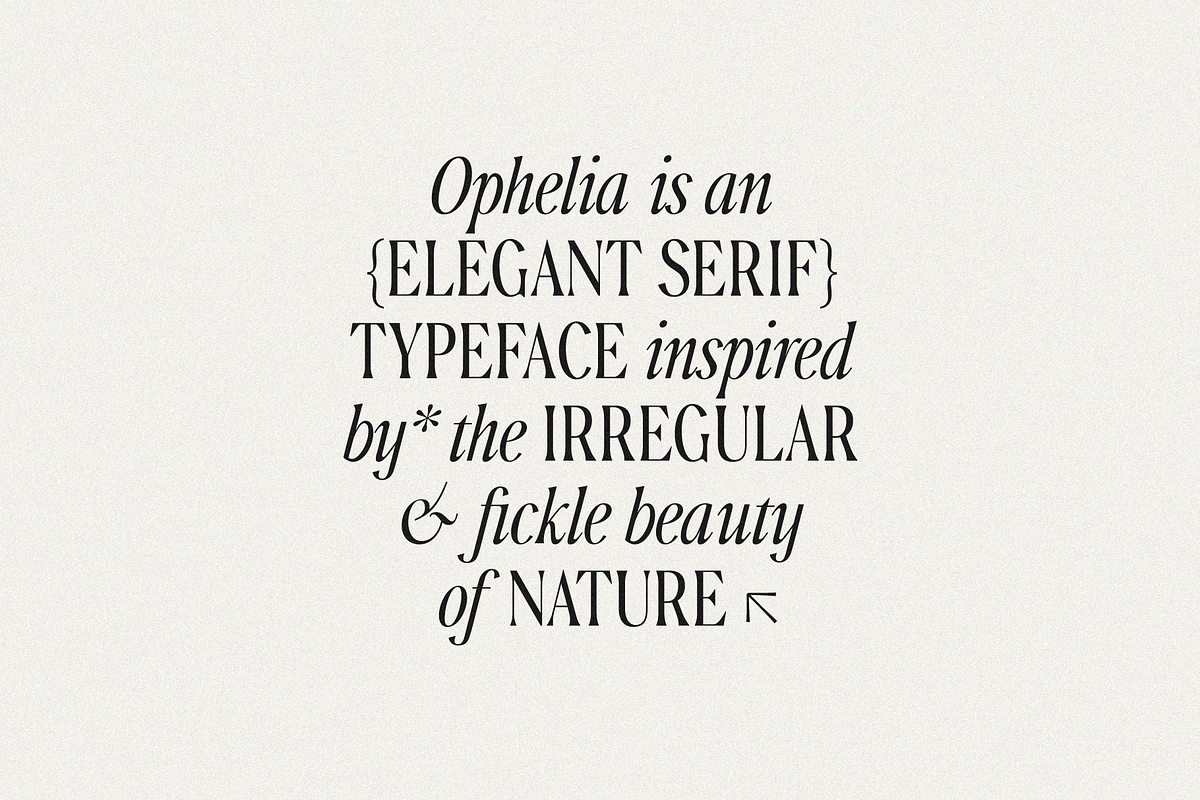 Ophelia - Modern Serif Font, a Serif Font by The Peach Shop (Photo 4 of 16)