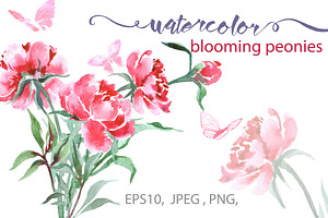 Watercolor peonies. (Floral set.)