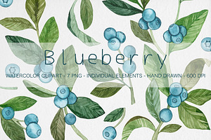 Watercolor Blueberry Clipart