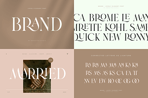 Unique & Classy Modern Font Bundle