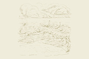 Palm tree collection (Vector), an Object Graphic by ArtOwl (Thumbnail 7 of 10)