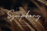 Andiela Sathony Signature Font, a Handwritten Font by UICreative (Thumbnail 3 of 6)