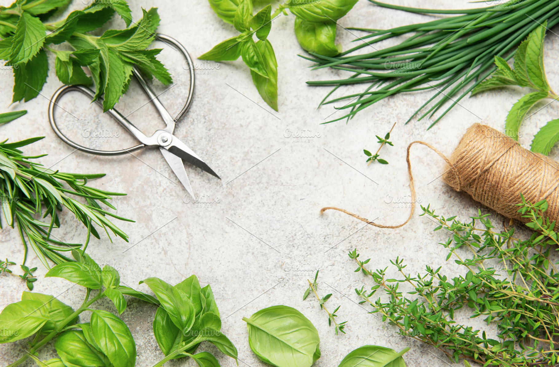 Fresh herbs frame with scissors and twine on gray background, a Food & Drink Photo by Olena Rudo