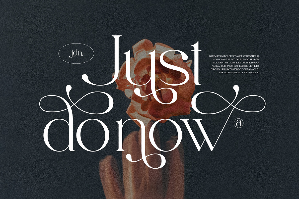 Jesslyn - Stylish Serif Font, a Serif Font by Aqeel_Art (Photo 3 of 10)