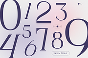 Nogite Modern - Branding Logo Font, a Serif Font by Nirmana Visual (Thumbnail 4 of 14)