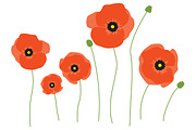 Vector Poppy Flowers, an Illustration by Sarah Hearts (Thumbnail 2 of 2)