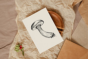 Set of Edble Hand Drawn Mushrooms, an Object Graphic by NataliArkushArt (Thumbnail 4 of 4)