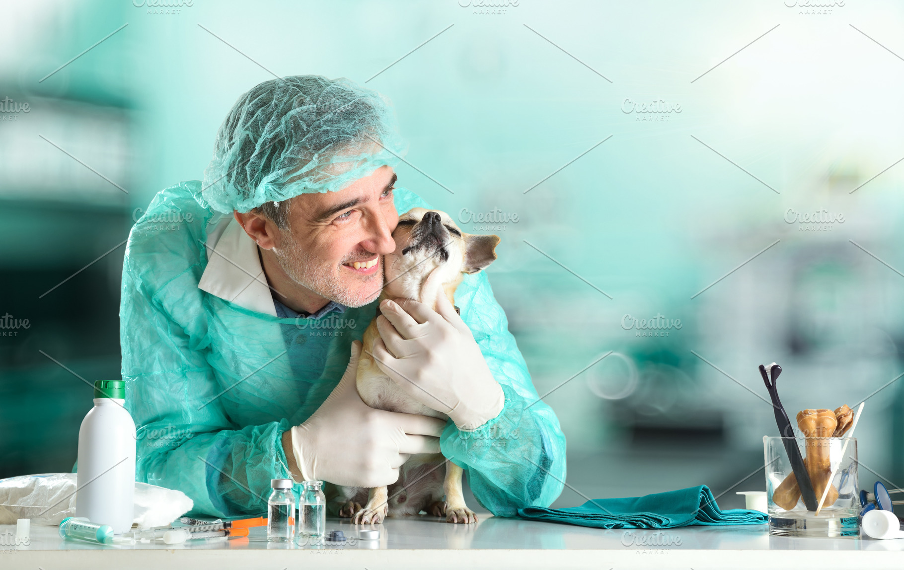 Compassionate Veterinarian Cuddling Chihuahua in Clinic, an Animal Photo by Davizro's Market