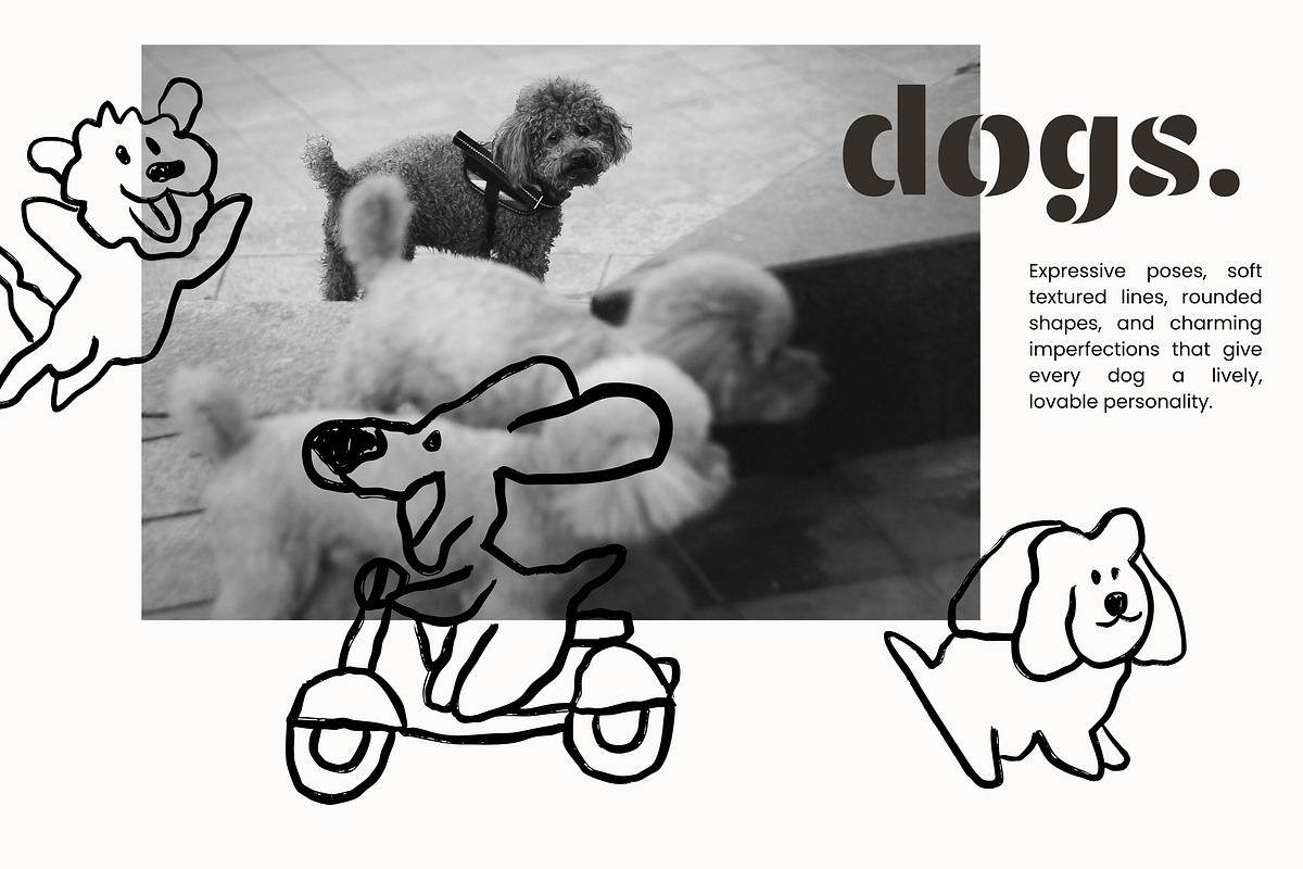 Animal Series BUNDLE: All 6 in 1, an Animal Illustration by Veyla (Photo 22 of 37)