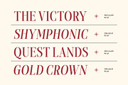 Sofiatweet - Modern Serif Duo Style, a Serif Font by Typia Nesia (Thumbnail 5 of 13)