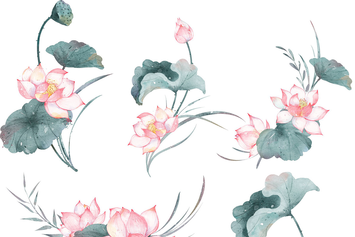 Watercolor Lotus Clip Art Collection, an Object Illustration by ArtbyHien (Photo 3 of 5)