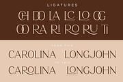 ROAST - Decorative Display Serif, a Serif Font by Konstantine Studio (Thumbnail 5 of 10)