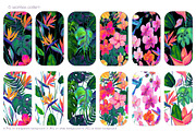 Birds of Paradise graphics/patterns, a Pattern Graphic by Salted Galaxy (Thumbnail 6 of 14)