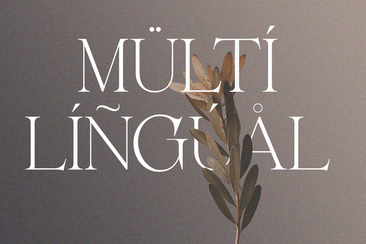 Belarose - Modern Elegant Serif, a Serif Font by Qweera Studio (Photo 12 of 12)