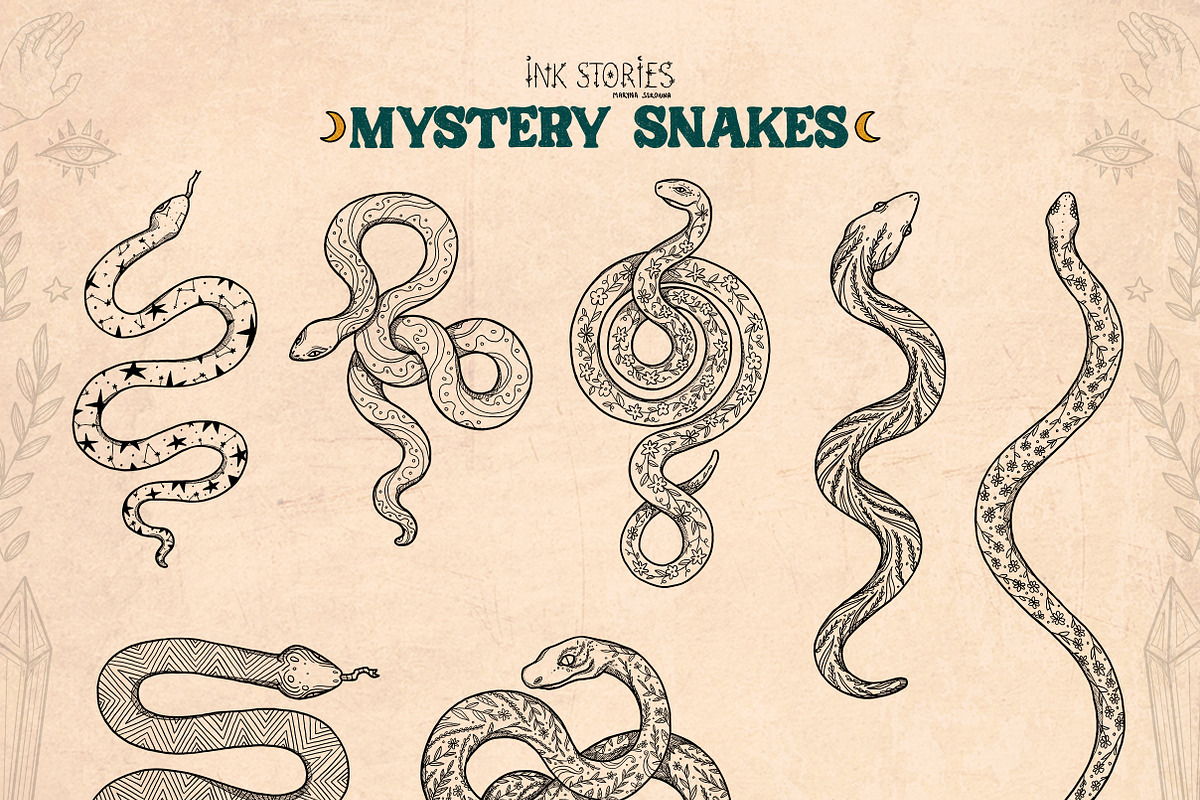 Mystery Snakes, an Animal Illustration by Ink Stories (Photo 10 of 31)