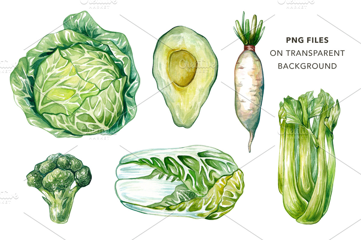 Green Vegetables. Watercolor Bundle, an Illustration by Olga Olmix (Photo 3 of 10)
