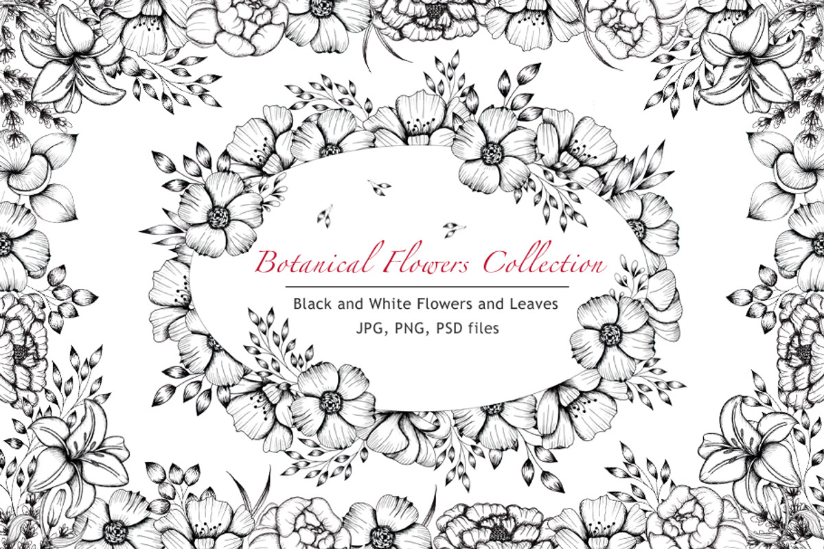 Black and White Botanical Collection, an Illustration by TanataDesign (Photo 1 of 8)