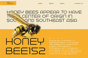 Baqeut Enosan|| Unique Display Font, a Sans Serif Font by Idea Studio (Thumbnail 3 of 5)