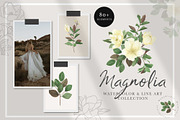 MAGNOLIA - Watercolor & Line Art, a Texture Illustration by Momo Studio (Thumbnail 1 of 14)