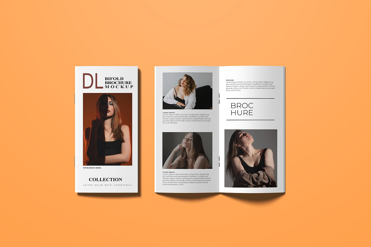DL Brochure Mockup, a Books & Magazine Mockup by Lxadesign (Photo 7 of 12)