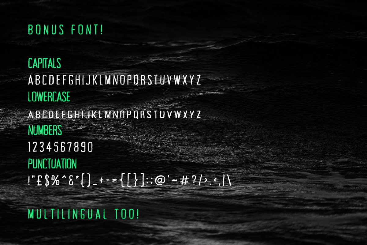 Whicker Font Duo preview 7