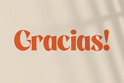 Negoka Modern Display Font, a Sans Serif Font by Storytype Studio (Thumbnail 18 of 18)
