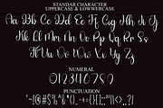 Winter Valentine, a Handwritten Font by FreshTypeINK (Thumbnail 5 of 8)